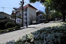 函館公園からみた外観