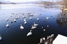 春夏秋冬、野鳥の楽園はいうまでもありません